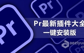 Pr最新最全插件滤镜大全一键安装版下载Premiere插件合集WIN一键安装版 支持Pr 2021