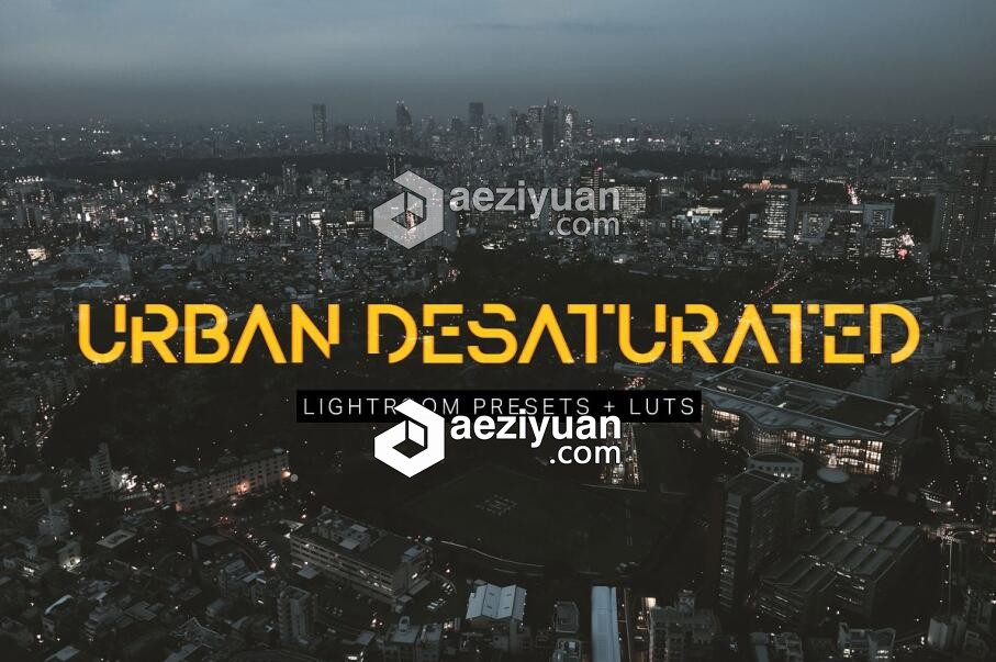 24个旅拍城市景观摄影去饱和Lightroom预设+LUTs预设  AE资源素材社区 www.aeziyuan.com