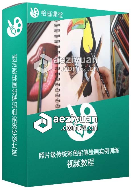 照片级传统彩色铅笔绘画实例训练视频教程  AE资源素材社区 www.aeziyuan.com