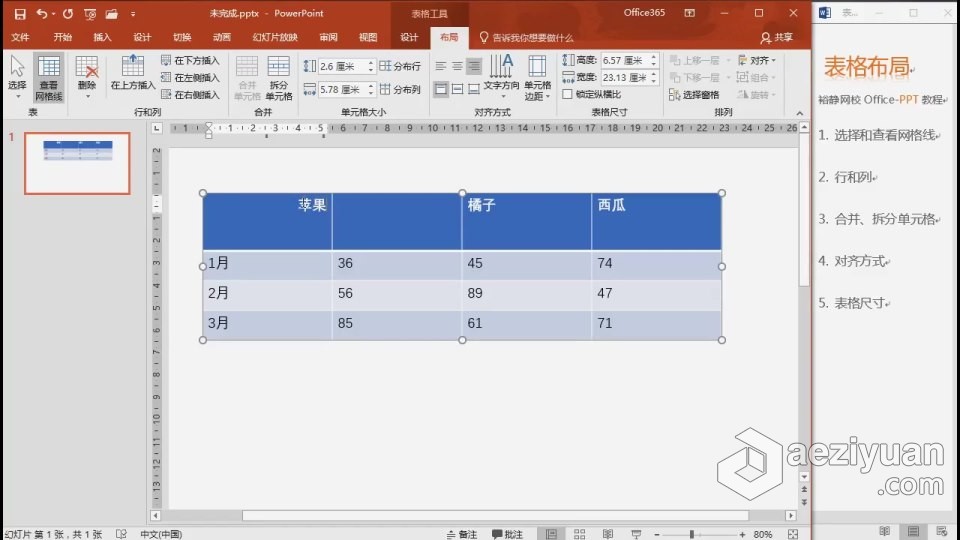 PowerPoint 软件入门课程 PPT零基础自学中文教程 小白也能学会  AE资源素材社区 www.aeziyuan.com