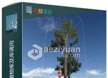 lumion23个中国扩展植物库及库调用方法视频教程