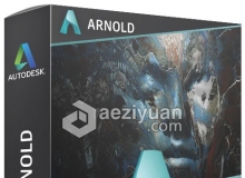 C4D阿诺德Arnold渲染器插件 SolidAngle Cinema 4D To Arnold 3.0.1.1 Win/Mac破解版